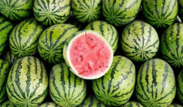 必吃大瓜今日大瓜,今日热门话题大盘点